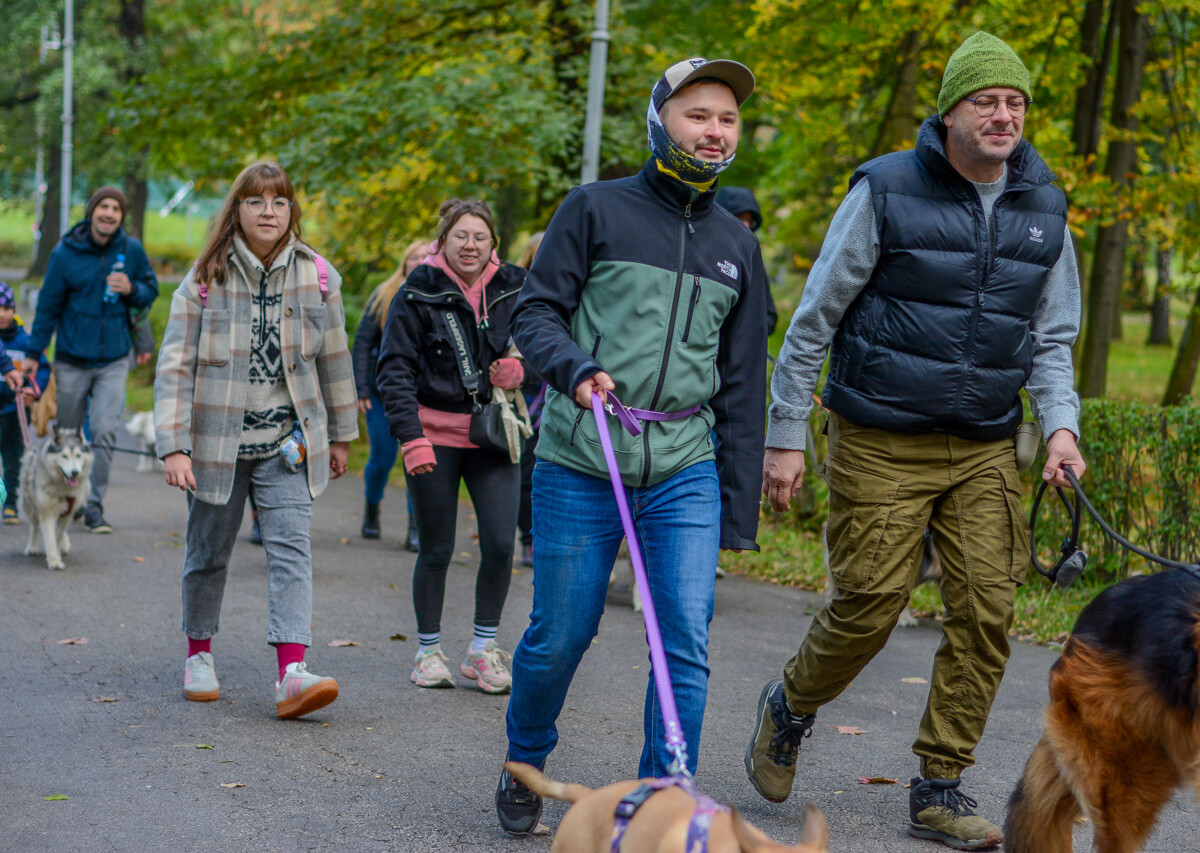 Za nami kolejna odsłona Katowickiego Dnia Psiaka. Zobaczcie, jak było na głównym biegu podczas tegorocznej edycji.