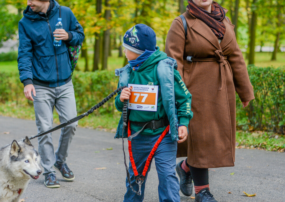 Za nami kolejna odsłona Katowickiego Dnia Psiaka. Zobaczcie, jak było na głównym biegu podczas tegorocznej edycji.