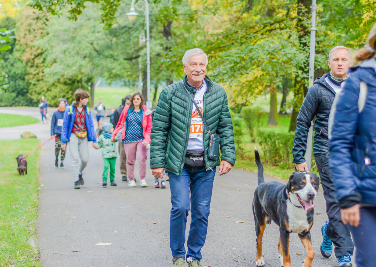 Za nami kolejna odsłona Katowickiego Dnia Psiaka. Zobaczcie, jak było na głównym biegu podczas tegorocznej edycji.
