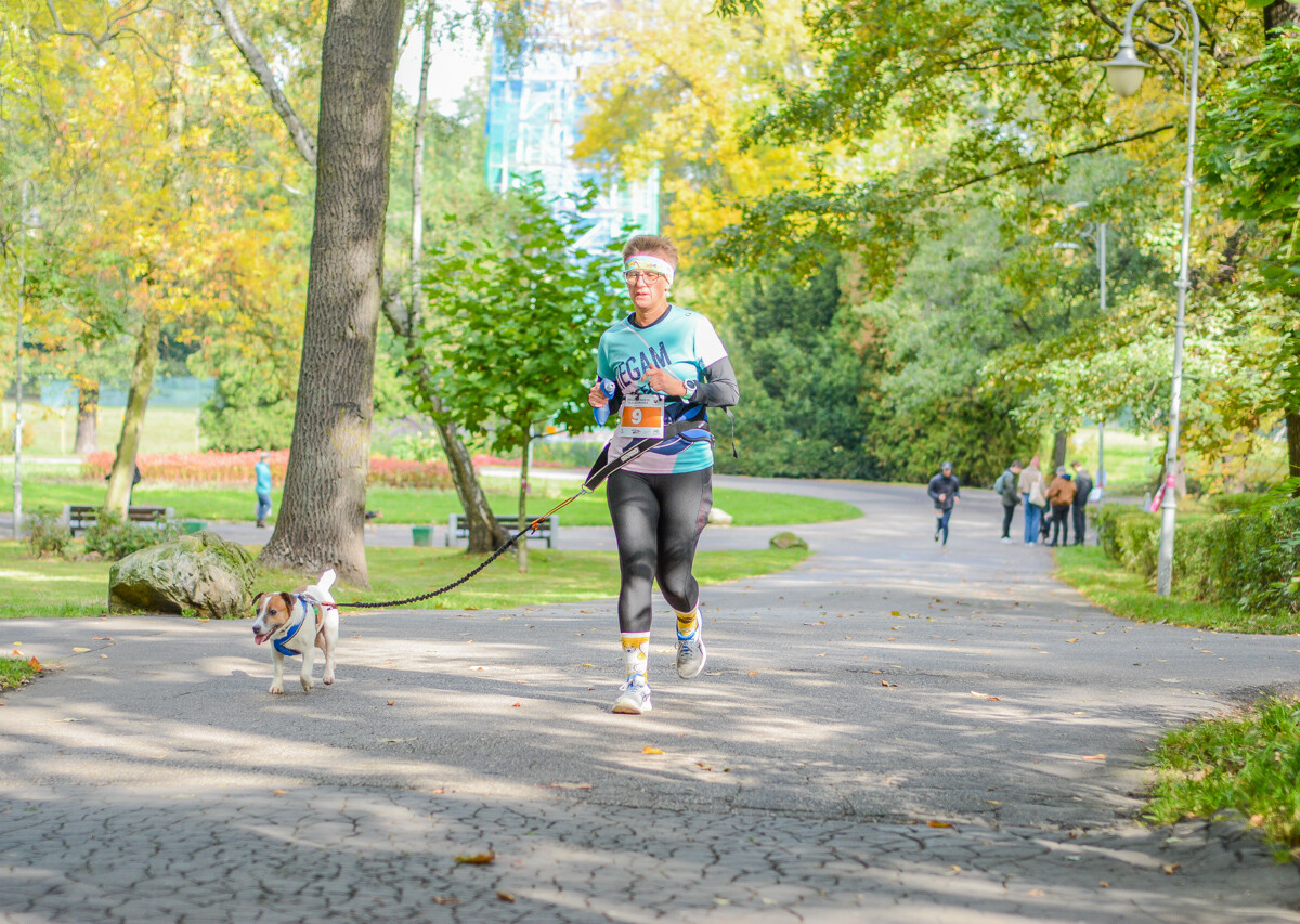 Za nami kolejna odsłona Katowickiego Dnia Psiaka. Zobaczcie, jak było na głównym biegu podczas tegorocznej edycji.