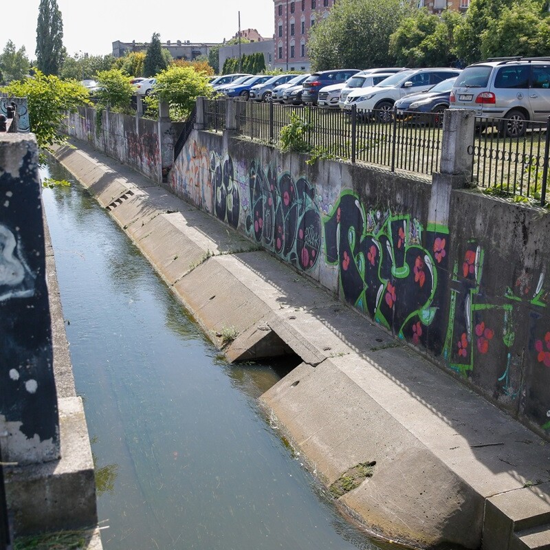 Katowickie Inwestycje porządkują Rawę