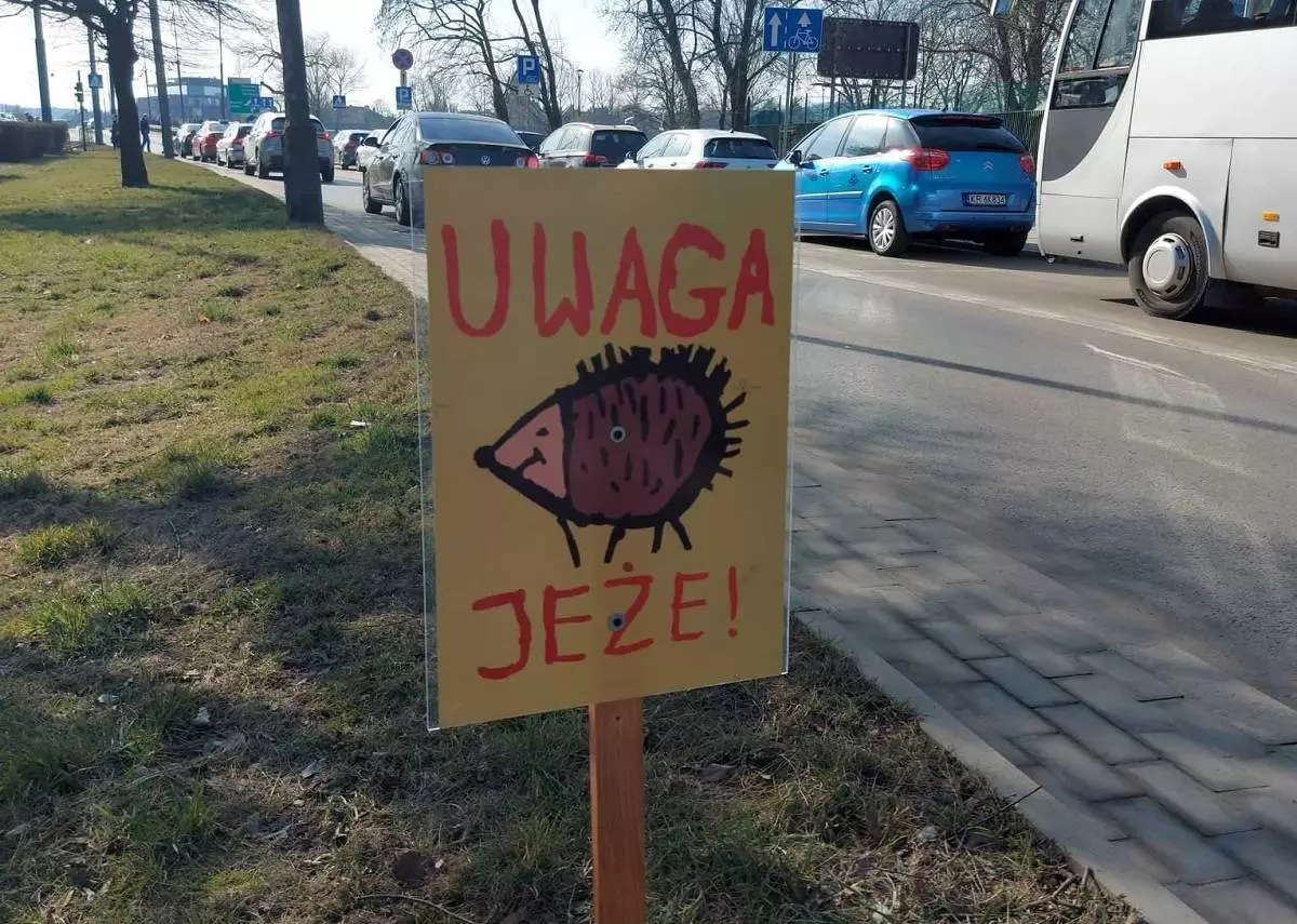Kierowca PKM Katowice obrońcą jeży! / fot. S. Piskorz