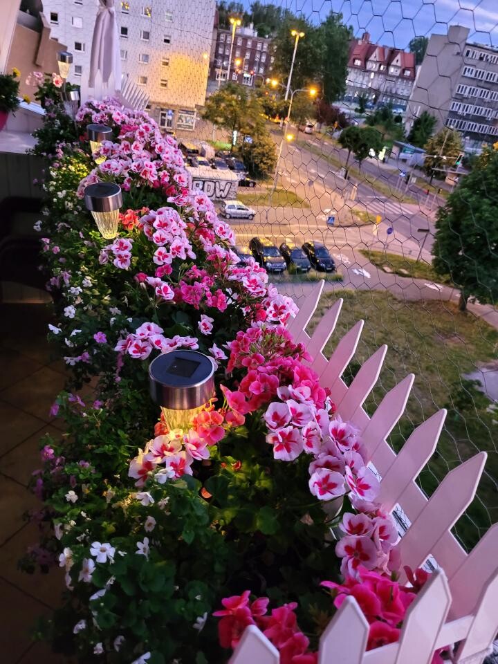 Konkurs na „Najpiękniejszy katowicki balkon" rozstrzygnięty! [ZDJĘCIA] / fot. uczestników konkursu