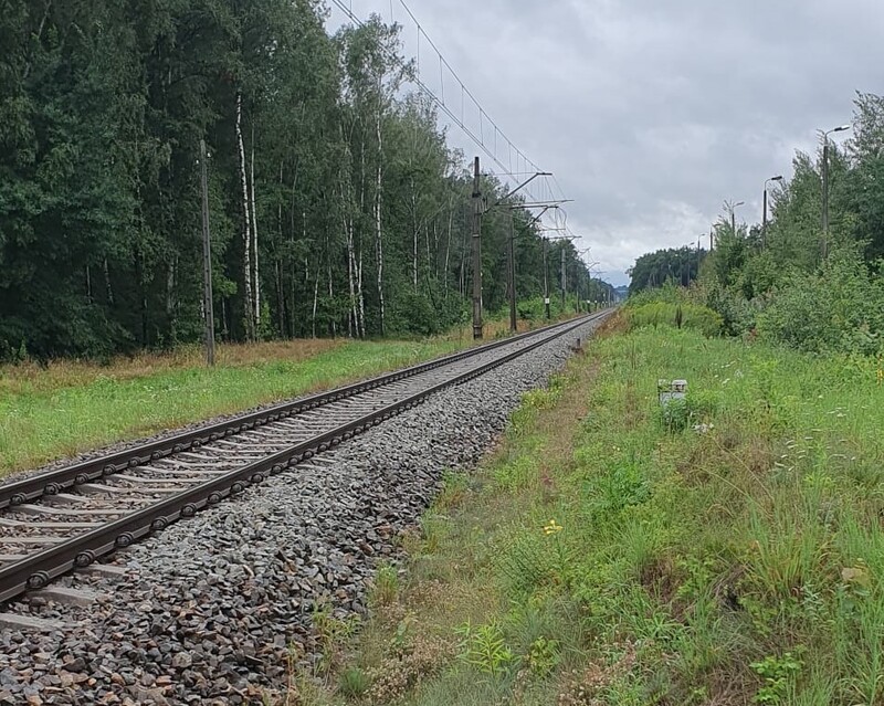 Nietrzeźwy szedł szlakiem kolejowym. Mieszkaniec Katowic trafił na izbę wytrzeźwień!