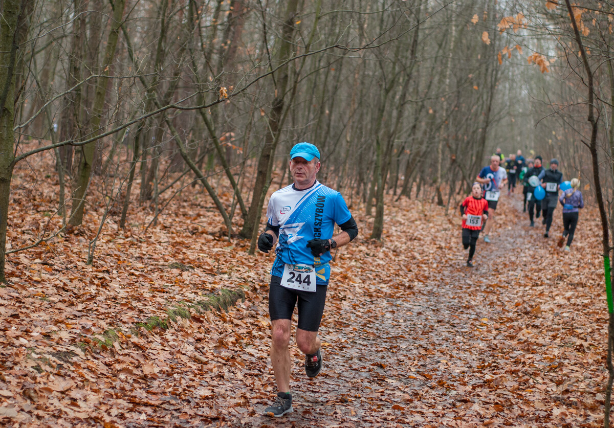 Za nami kolejna, listopadowa odsłona Panewnickiego Dzikiego Biegu. Kilkaset osób stawiło się na starcie, mamy zdjęcia!