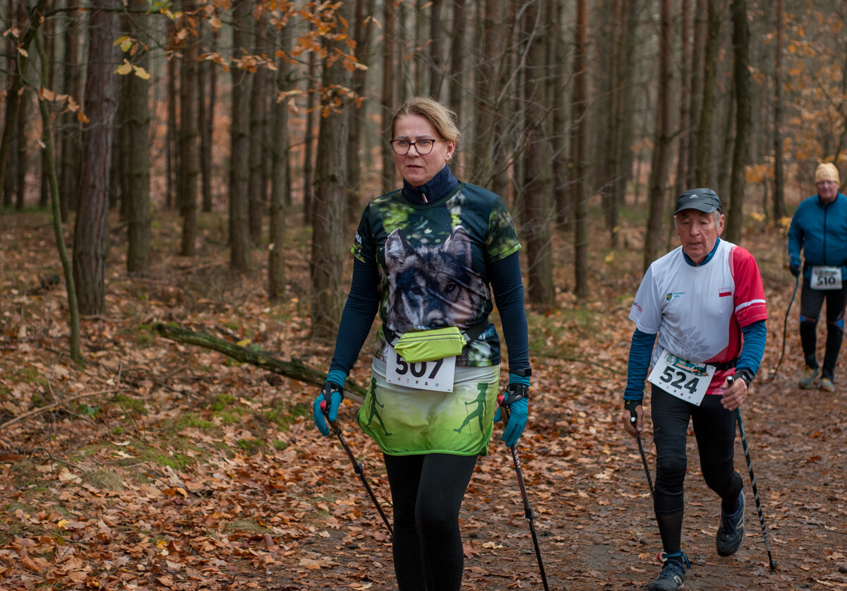 Za nami kolejna, listopadowa odsłona Panewnickiego Dzikiego Biegu. Kilkaset osób stawiło się na starcie, mamy zdjęcia!