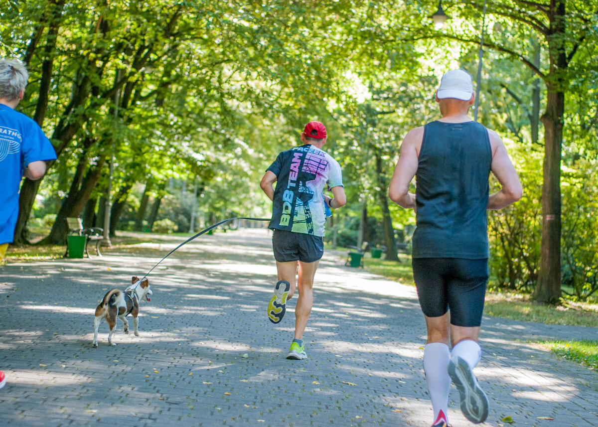Za nami specjalna, śląska odsłona spotkań parkrun. W letni, sobotni poranek biegacze znów opanowali Park Kościuszki. Tym razem w żółto-niebieskich barwach.