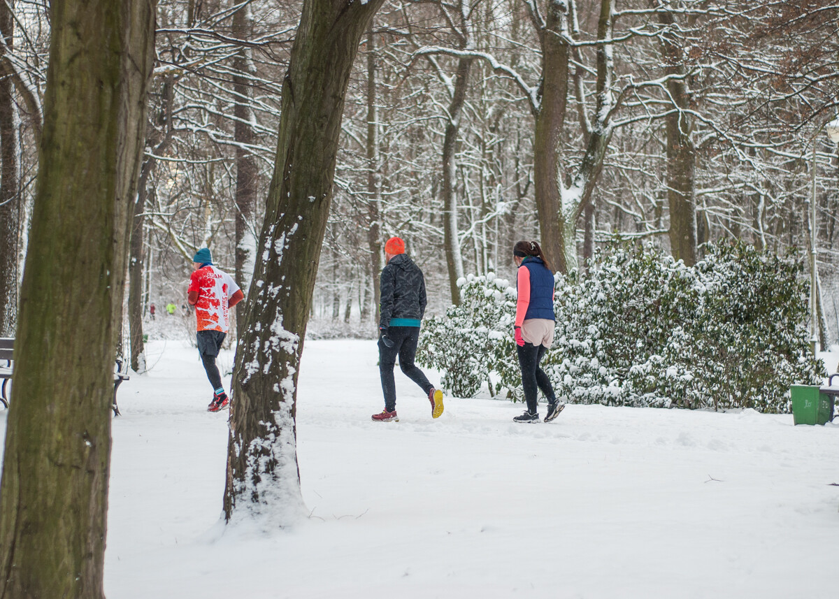 Za nami pierwsza tegoroczna odsłona biegowych spotkań parkrun Katowice. Około 100 osób pojawiło się dziś w Parku Kościuszki, by potruchtać w sobotni poranek.