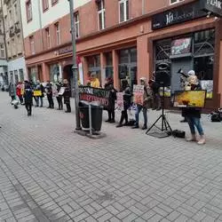 Protest przeciwko bran&#380;y futrzarskiej w Katowicach. Ochnik na celowniku