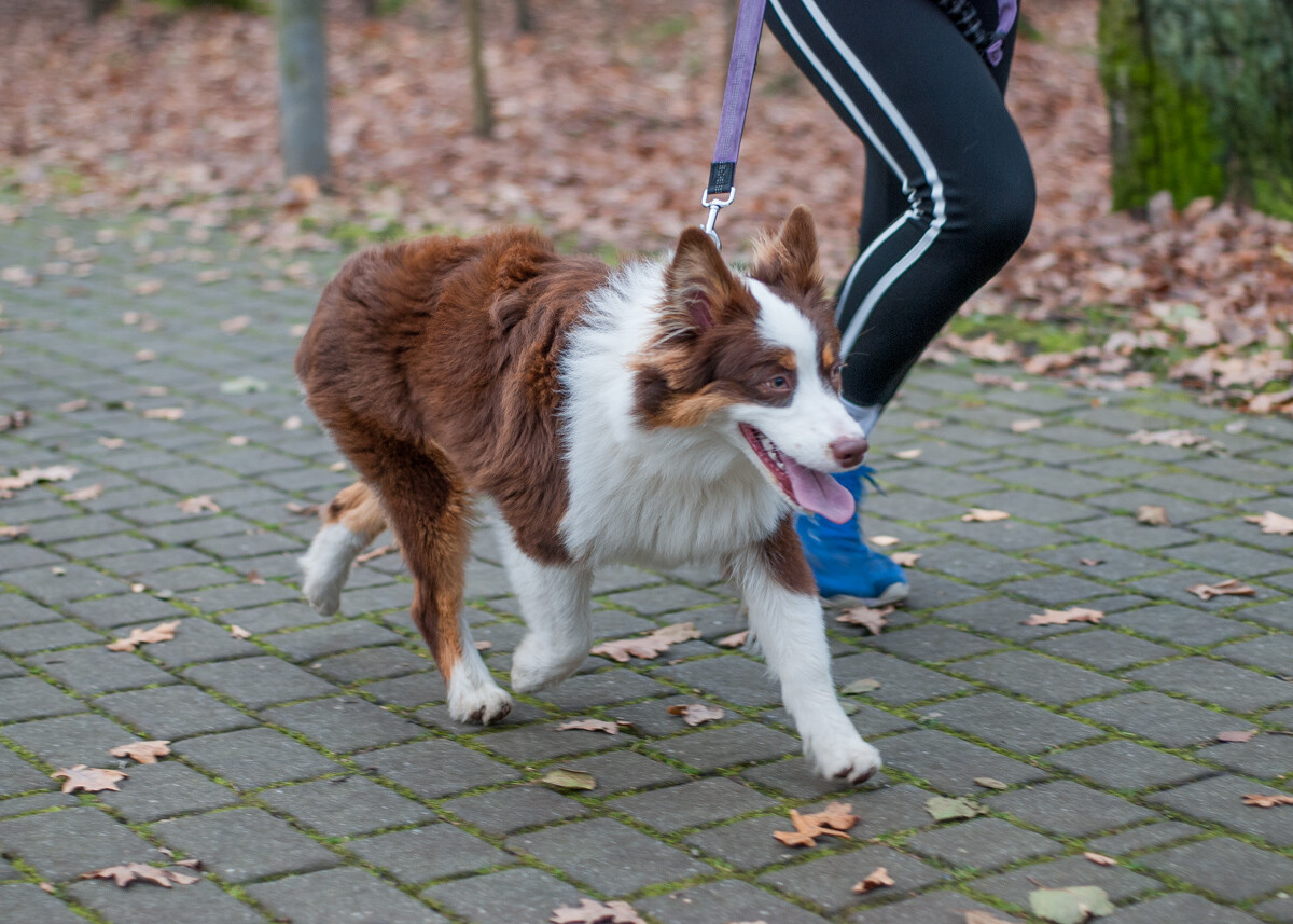 Za nami kolejna specjalna edycja spotkań parkrun Katowice, tym razem “różowo-niebieska”, dedykowana ważnej akcji społecznej.
