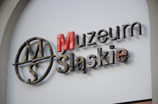 Śląsk na poziomie