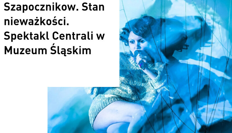 "Szapocznikow. Stan nieważkości / No Gravity"