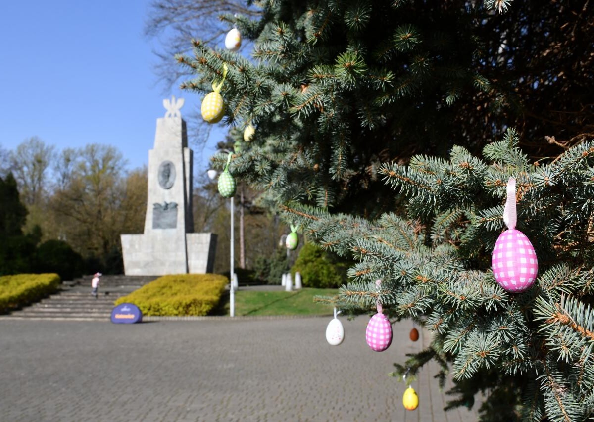 Za nami wielkanocna edycja parkrunu. Uczestnicy wsparli katowickie schronisko / fot. Adam Ziółek