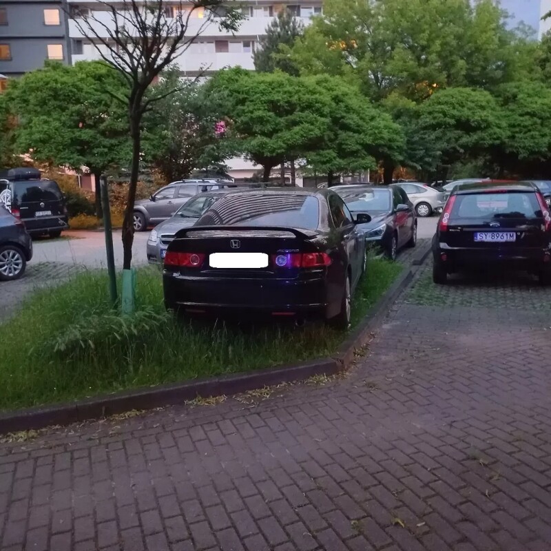 Wyzwanie – parkowanie” w Katowicach: 439 interwencji w jeden tydzień