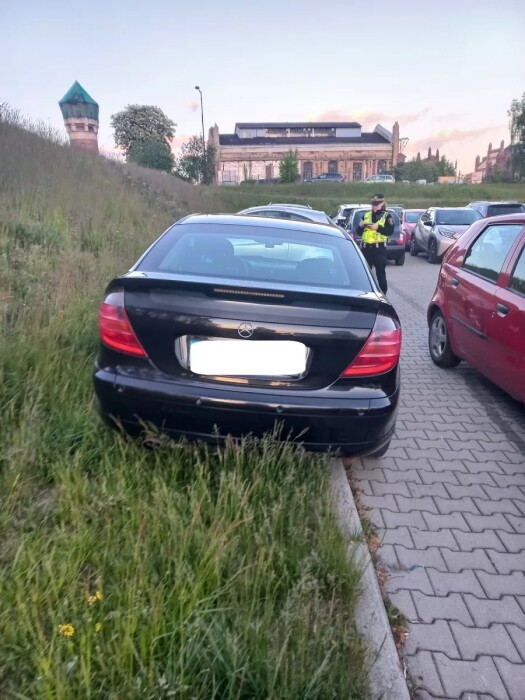 „Wyzwanie-parkowanie” w Katowicach: 503 wykroczenia, zniszczona zieleń i zablokowane drogi