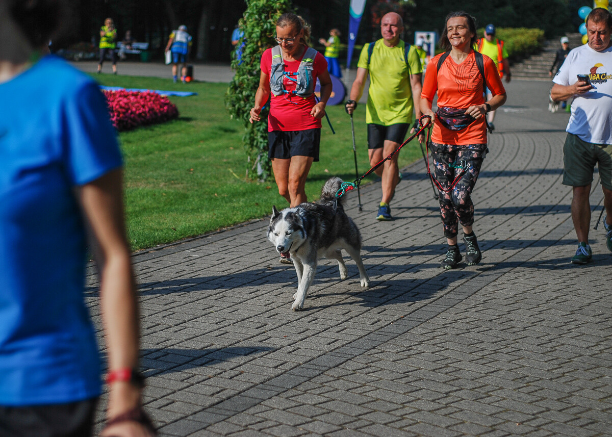 Kolejna, 370 już edycja biegu parkrun Katowice za nami. Ta była wyjątkowa, ponieważ została zorganizowana po śląsku. Było fest gryfnie!