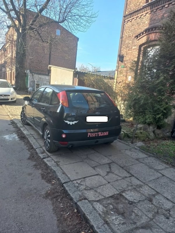 Zablokowane chodniki, zniszczona zieleń.