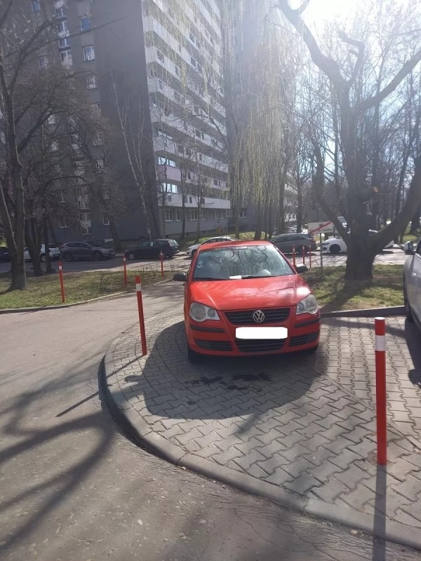 Zablokowane chodniki, zniszczona zieleń.